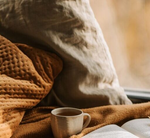 Tips for Creating a Cozy Reading Nook in Your Home